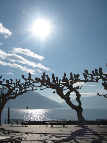Tessin 084.jpg   23kb   26.03.2021 22:35:17